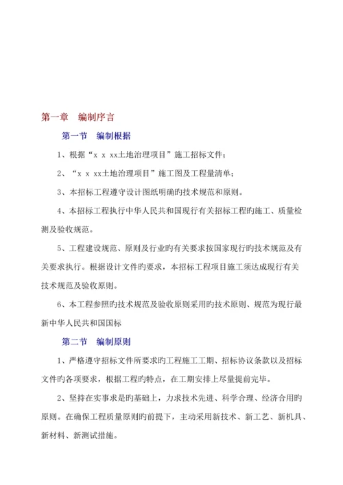 土地治理项目施工方案.docx