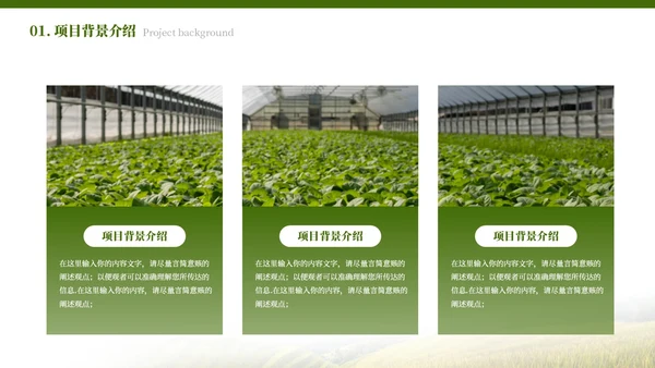绿色简约农业发展乡村振兴PPT模板