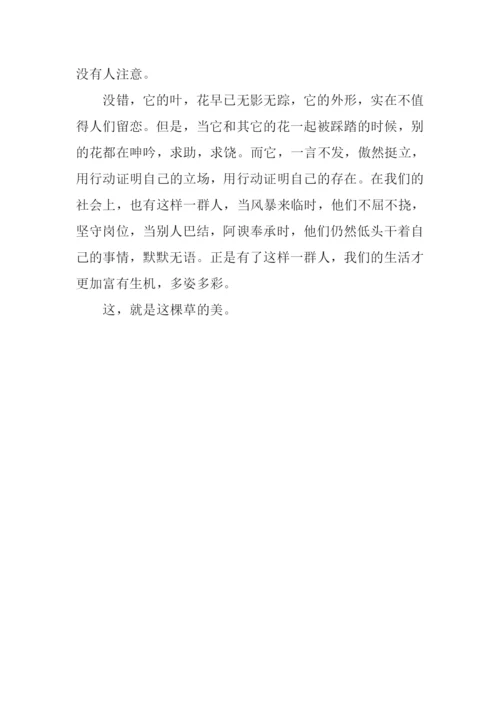 不起眼的美作文700字.docx