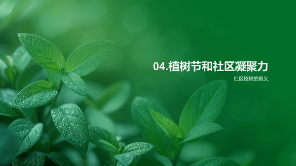 社区植树活动汇报