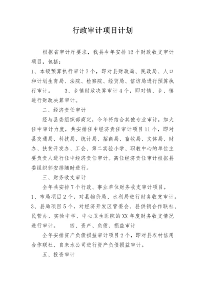 行政审计项目计划.docx