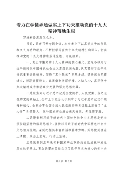 着力在学懂弄通做实上下功夫推动党的十九大精神落地生根 (2).docx