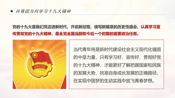 中国共青团学习十九大精神做合格团员PPT