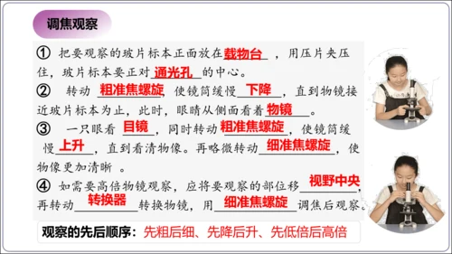 1.1&1.2 认识生物和细胞（复习课件）【2024人教新版七上生物高效完全备课】(共44张PPT)