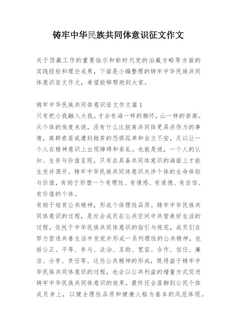 铸牢中华民族共同体意识征文作文.docx