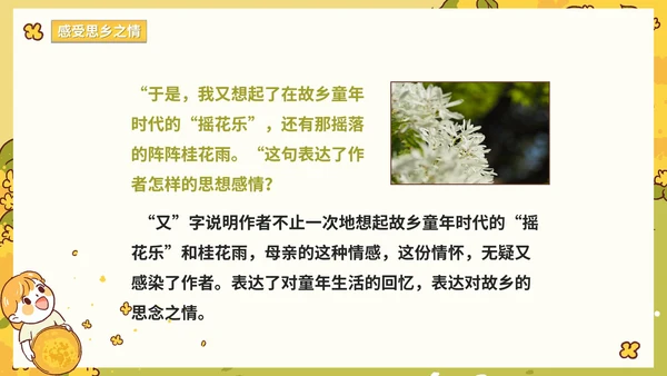 部编版语文五年级上册《桂花雨》课件
