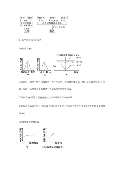 2023年高考生物知识点之细胞的代谢.docx