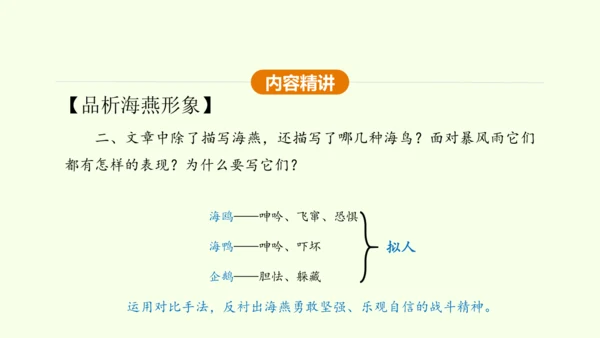第4课 海燕 课件(共31张PPT)-【课堂无忧】新课标同步核心素养课堂