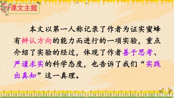 14《蜜蜂》课件