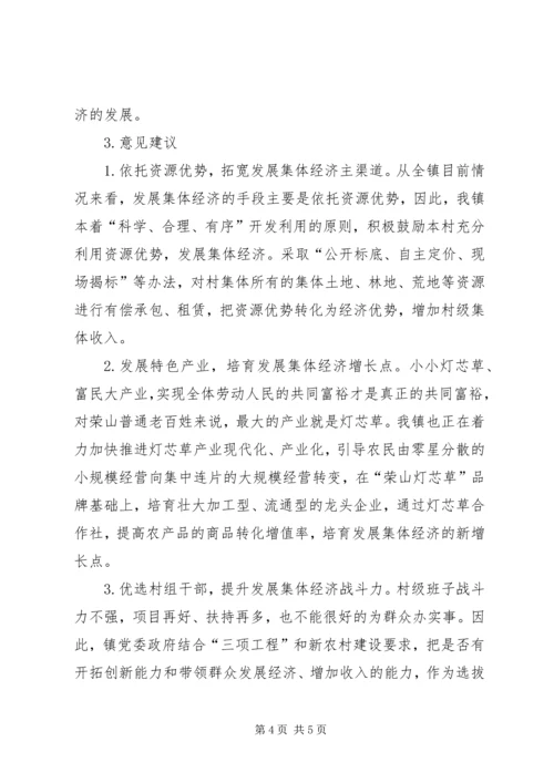 壮大村集体经济调研报告.docx