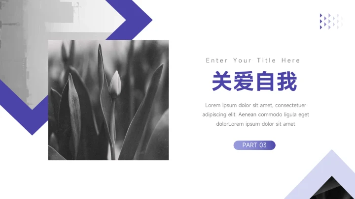 紫色图文简洁大学生心理健康PPT模板