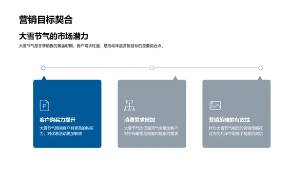 大雪节气销售报告