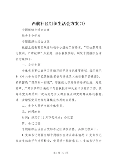 西航社区组织生活会方案(4).docx