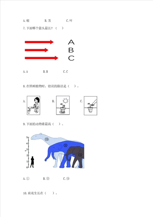 教科版一年级上册科学期末测试卷精品黄金题型