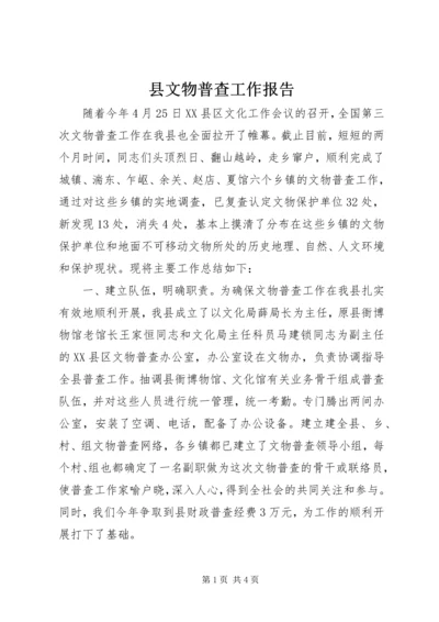 县文物普查工作报告.docx