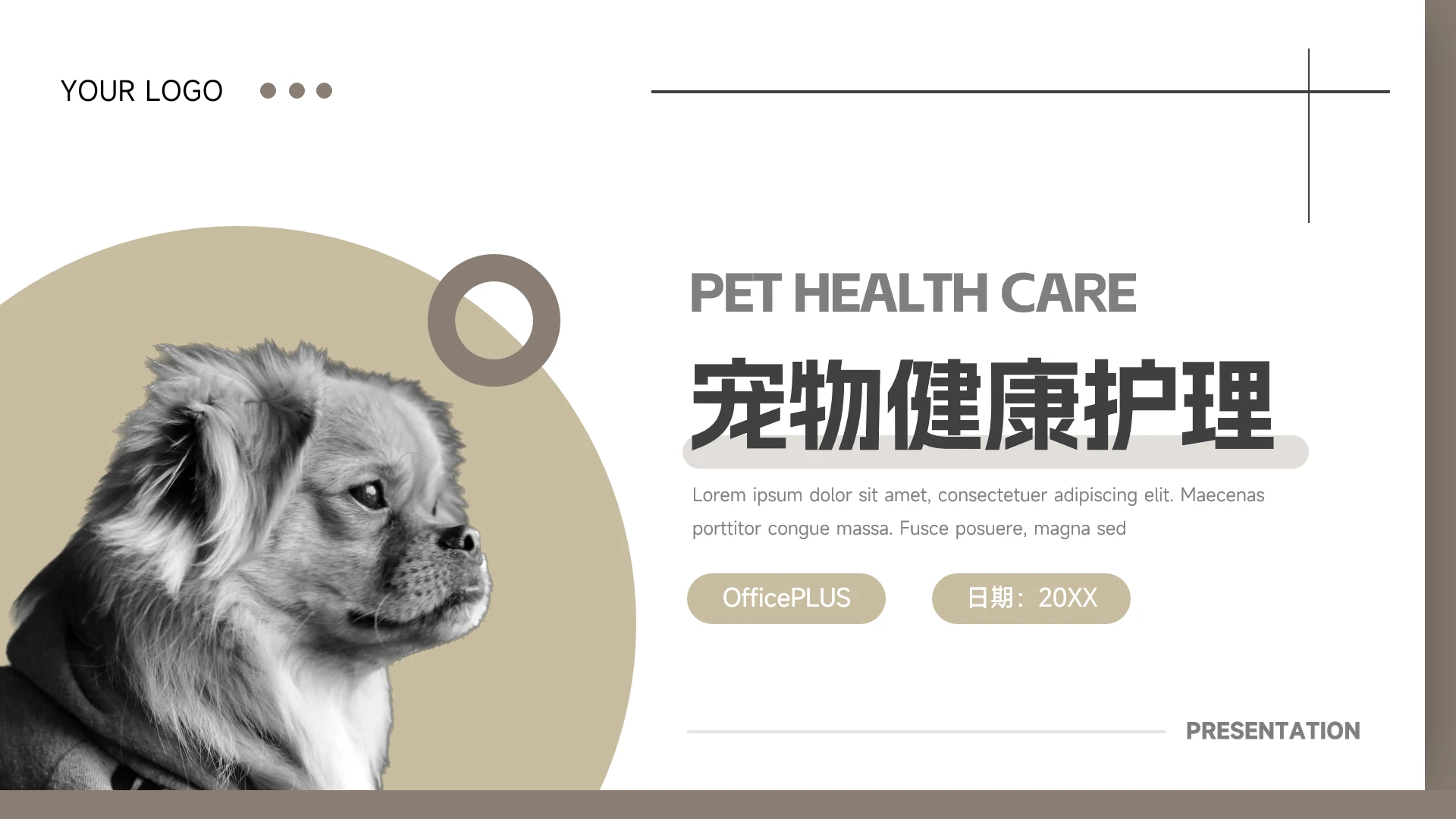 黄色系干净宠物健康护理介绍PPT模板