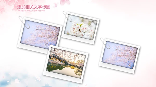 唯美浪漫十里桃花开樱花节樱花季桃花ppt