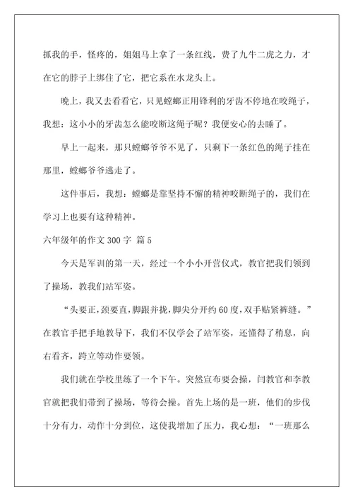 2022关于六年级年的作文300字集合八篇