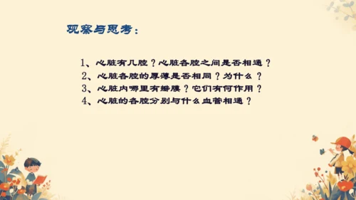 初中生物学人教版（新课程标准）七年级下册4.4.3输送血液的泵──心脏课件(共27张PPT)