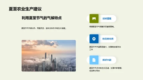 夏至农业新策略
