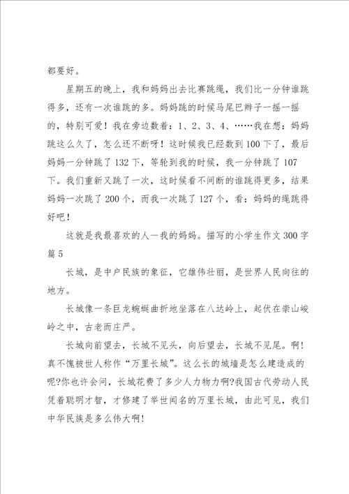 描写的小学生作文300字汇总5篇