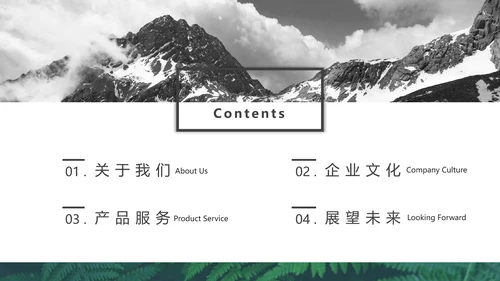 文艺热带森系公司企业宣传通用PPT模板