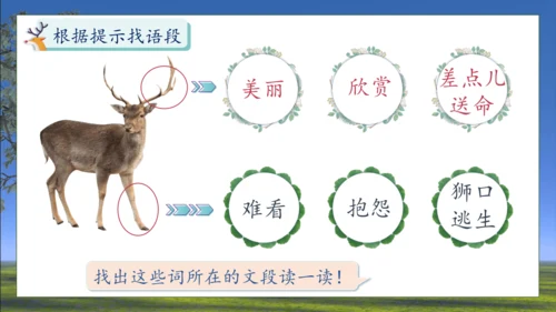 【核心素养】部编版语文三年级下册-7. 鹿角和鹿腿 第1课时（课件）