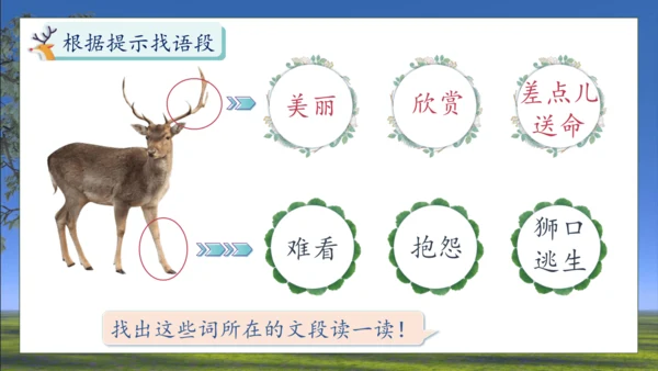 【核心素养】部编版语文三年级下册-7. 鹿角和鹿腿 第1课时（课件）