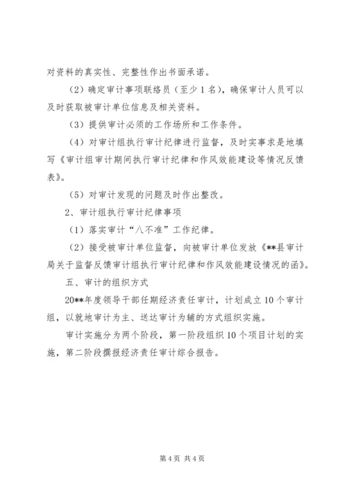 经济责任审计工作计划.docx