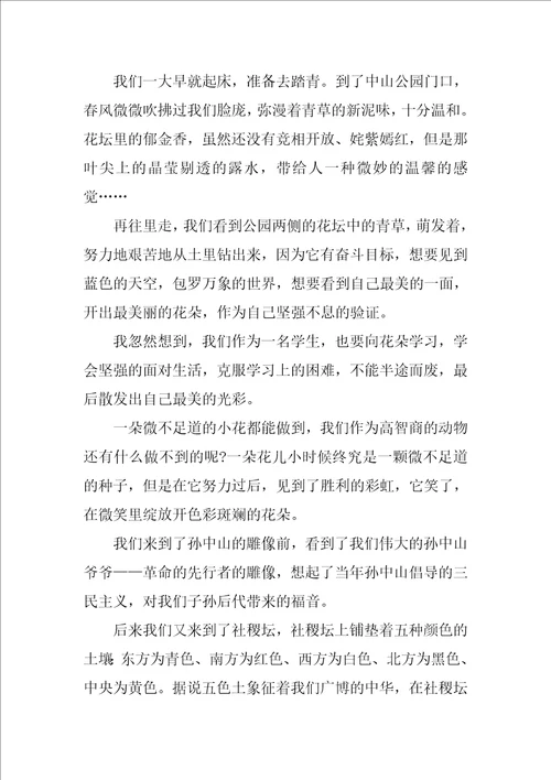 清明节踏青小学作文800字5篇