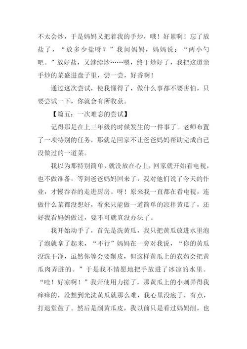 一次难忘的尝试作文600字.docx