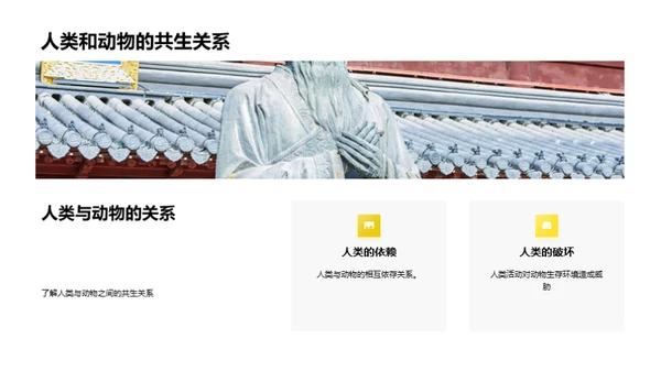 探索奇妙的动物世界