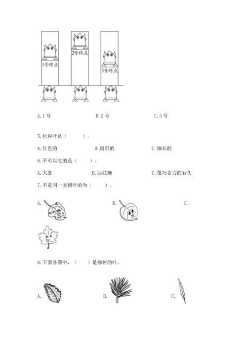 教科版一年级上册科学期末测试卷精品（预热题）.docx