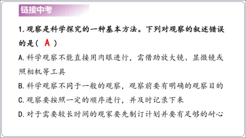 1.1&1.2 认识生物和细胞（复习课件）【2024人教新版七上生物高效完全备课】(共44张PPT)