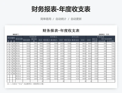 财务报表-年度收支表