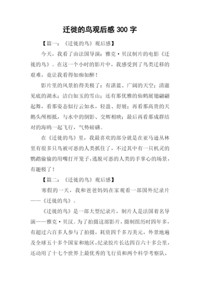 迁徙的鸟观后感300字.docx