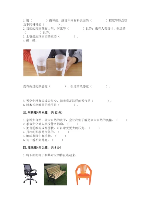 教科版小学二年级上册科学期末测试卷（word）.docx