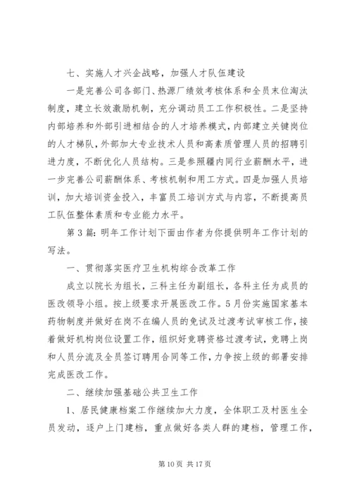 明年工作计划（共4篇）.docx