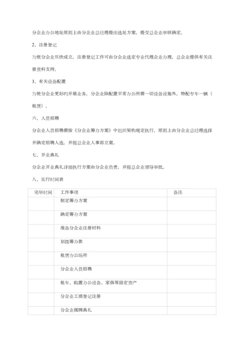 公司筹建方案.docx