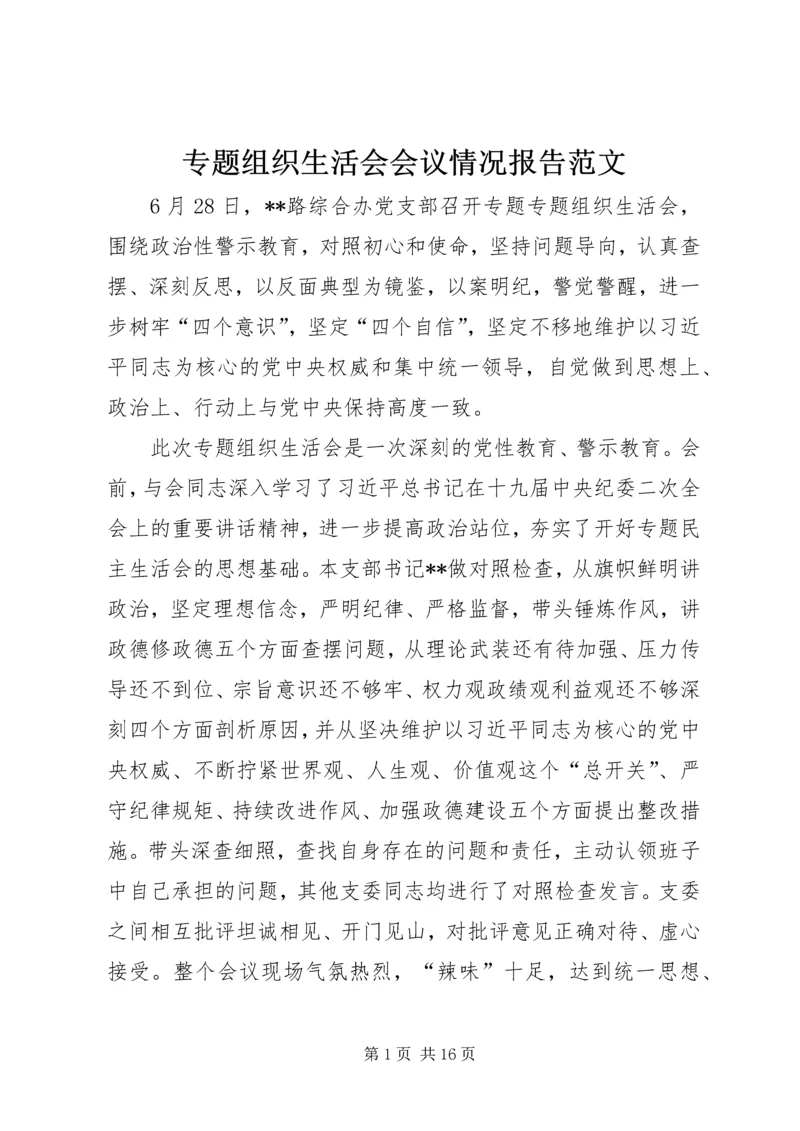 专题组织生活会会议情况报告范文.docx