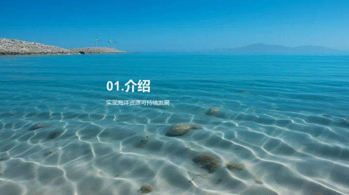 蓝色经济：海洋资源新纪元
