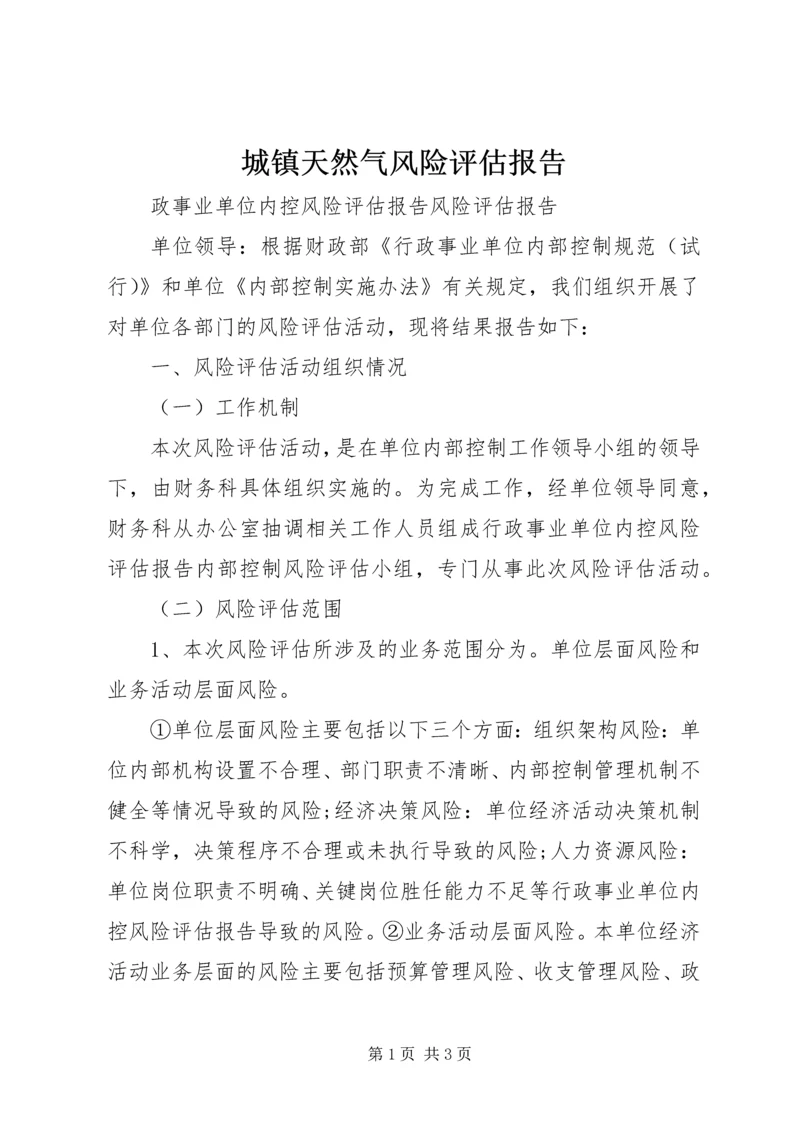 城镇天然气风险评估报告 (5).docx