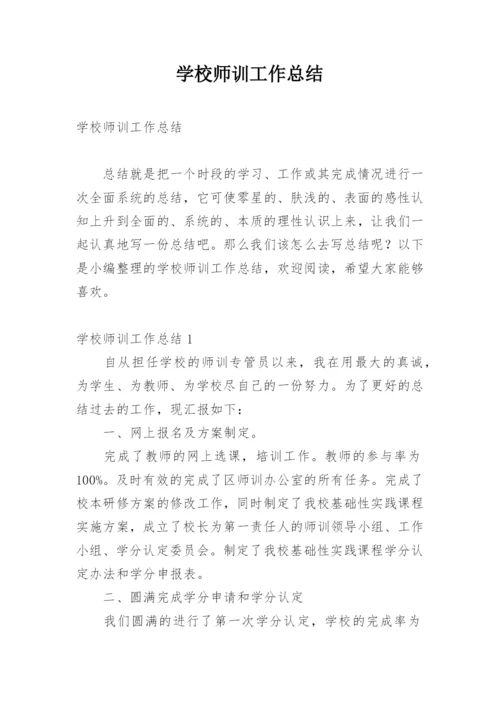 学校师训工作总结.docx