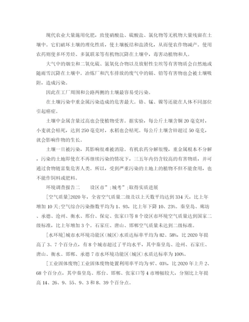 精编之环境调查报告实用范文.docx