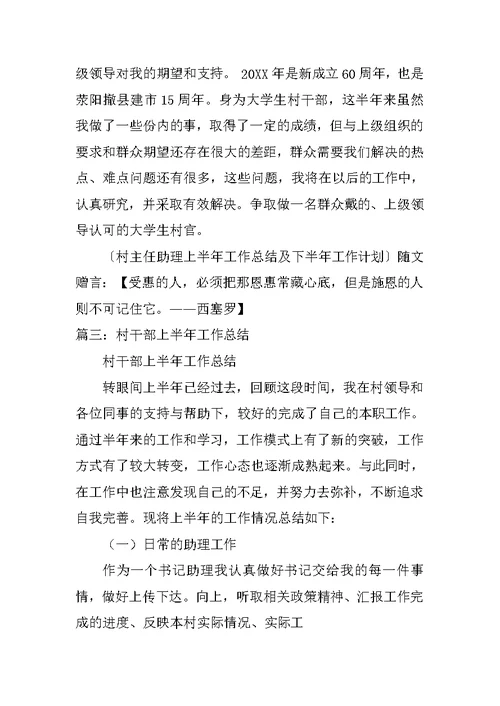 村主任上半年工作总结