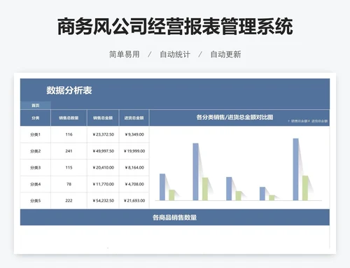 商务风公司经营报表管理系统