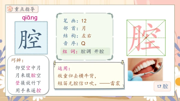 【核心素养】部编版语文四年级下册-13.猫 第1课时（课件）