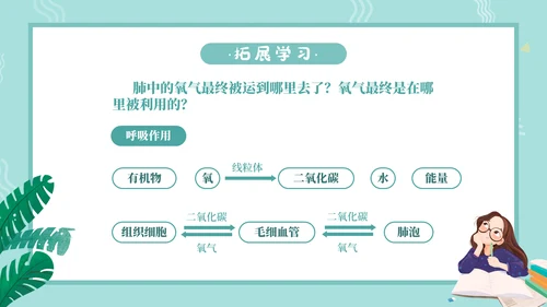人教版七年级生物通用PPT教学课件