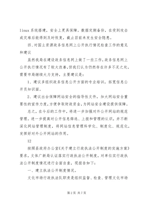 国土资源政务信息网上公开工作自查报告_1.docx