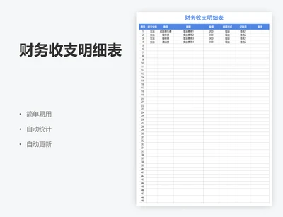 财务收支明细表